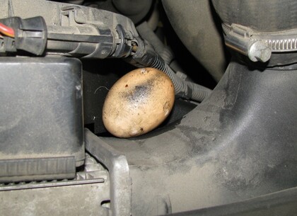 Věřte nebo nevěřte - V motorovém prostoru bývá příjemné teplo a tak si tam kuna udělala spižírnu.  