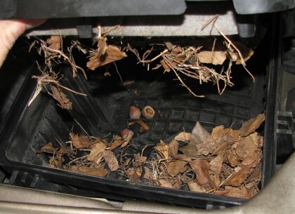 Vzduchový filtr poprvé - Je libo oříšek?  